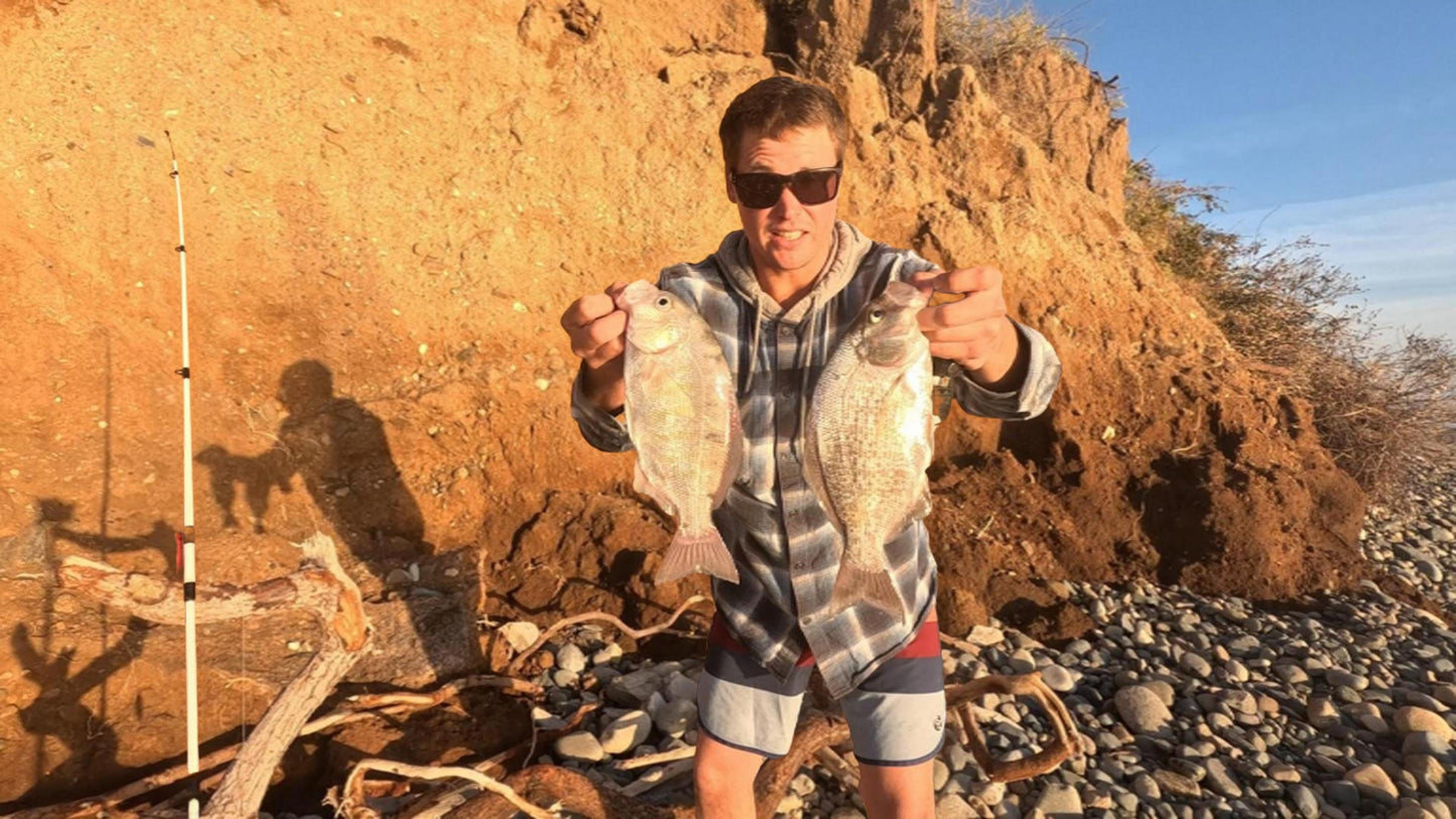 Reel Stoked Shrimp Bait
