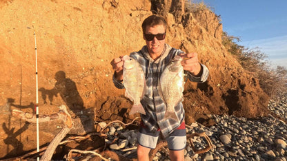 Reel Stoked Shrimp Bait